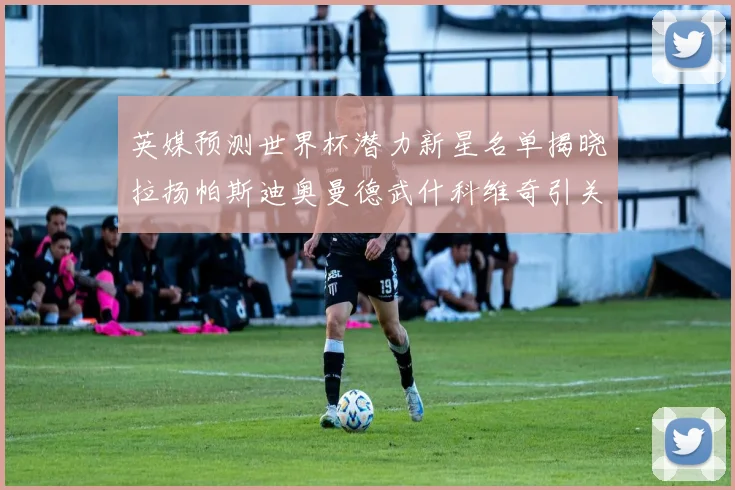 英媒预测世界杯潜力新星名单揭晓拉扬帕斯迪奥曼德武什科维奇引关注