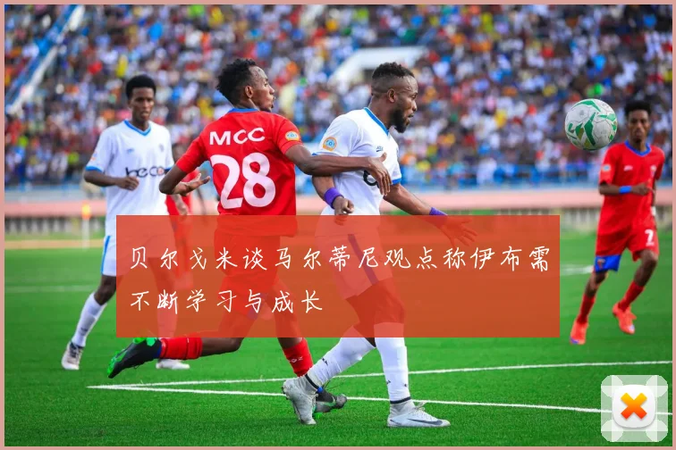 贝尔戈米谈马尔蒂尼观点称伊布需不断学习与成长